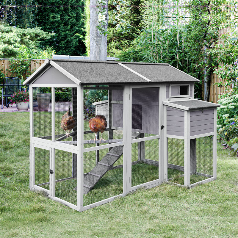 Tucker Murphy™ Pet Sabra Walk In Chicken Coop with Chicken Run For Up
